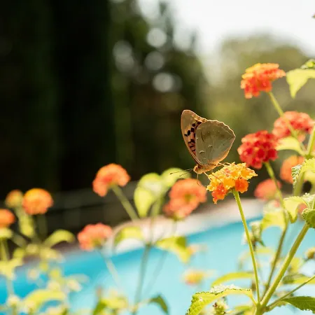 别墅 Lo Schioppo Vista Mare 马西亚娜马里纳